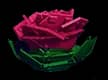 Briar Rose