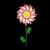 Candy Sunflower