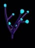 Glow Thorn